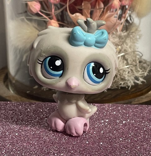 Petshop hibou 1476 - 🌺petshop, 1476🌺