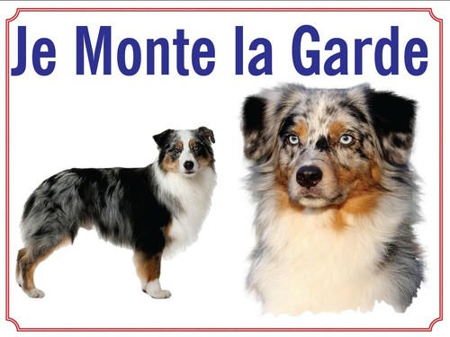 Attention chien je monte - attention, chien,