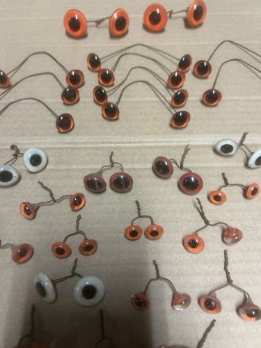 Lot taxidermie cabinet de - 👁,