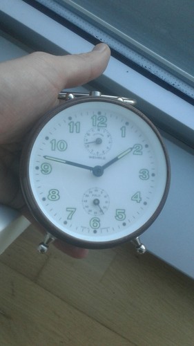 Wehrle polo marron w17 - polo, montre