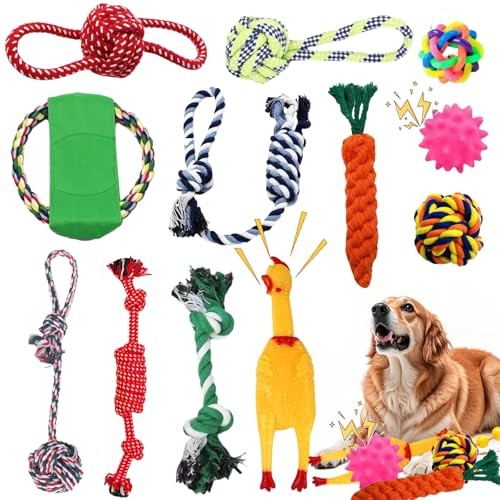 Jouets pour chien pièces - jouets, chien,12