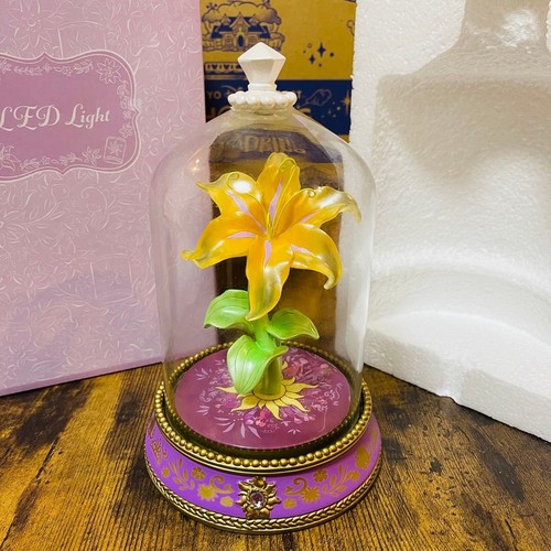 Disney store raiponce - store,