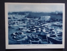 fiche pédagogique C33 MAROC tannerie indigène de cuir à Marrakech