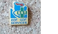 Pin's EDF GDF Services Nancy SST
