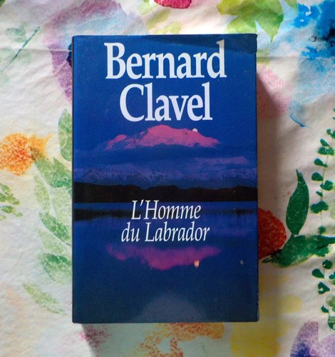 Homme labrador de - l'homme,