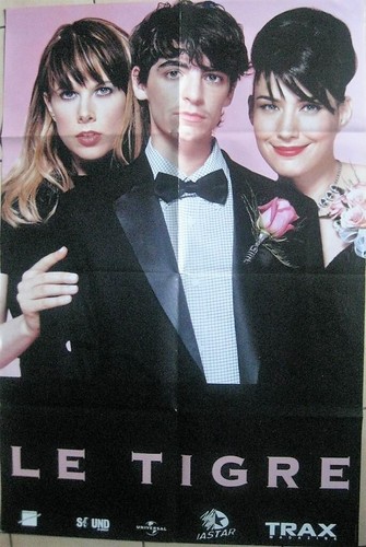 Tigre affiche - le,