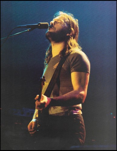 Pink floyd david gilmour - pink,