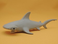 Requin Marteau Gris - Animaux