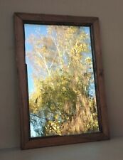 Ancien MIROIR AU MERCURE cadre