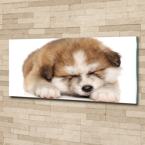 Tulup image sur verre - image,