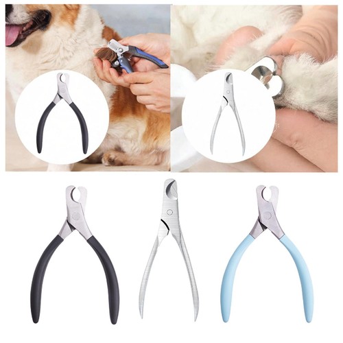 Coupe ongles pour - coupe, pince