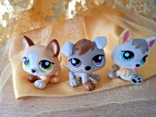 petshop authentic LPS Triples