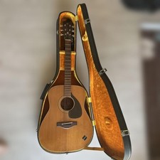 [Modèle rare] Guitare vintage