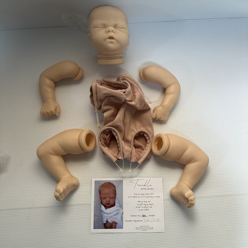 Reborn kit trouble nikki - trouble,