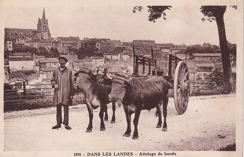 Dans les landes attelage - les, de