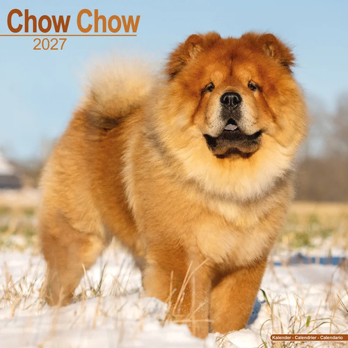 Calendrier 2027 chow - chow,