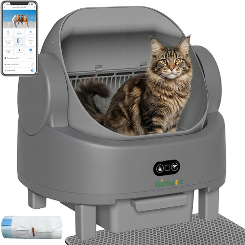 Self cleaning litter box - self-cleaning, for