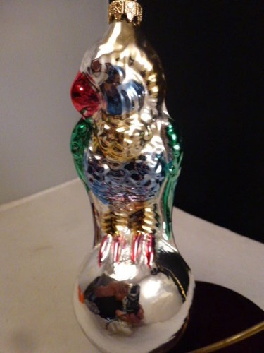 Large tropical parrot - large, blown