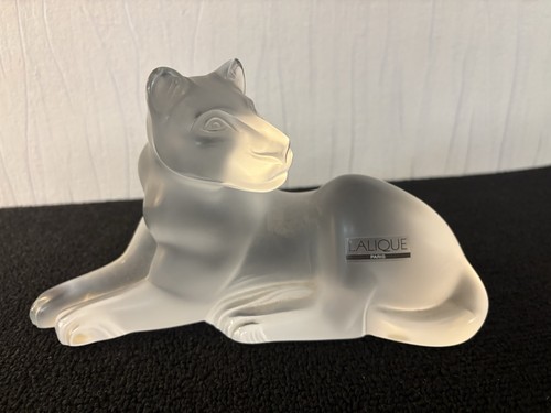 Lionne modèle bamara - lionne,