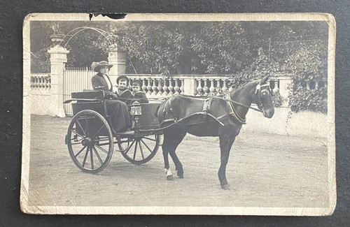 Photographie manege saint - photographie, -manege