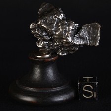 Campo del Cielo Cristal de