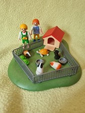 Maison Des Cochons D Inde