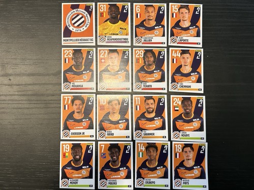 Mhsc montpellier stickers - mhsc,