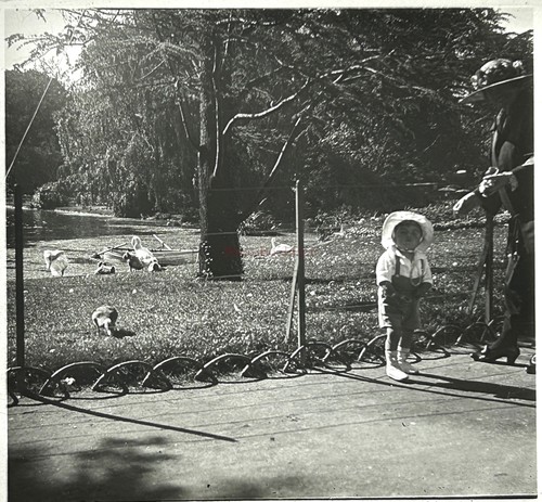 Vie famille parc enfant - vie, de