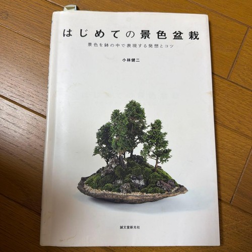 First scenery bonsai - first,