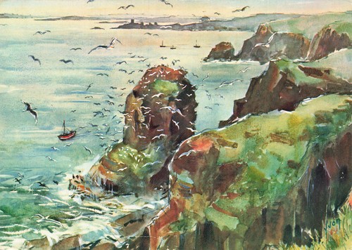 Cap frehel fauconniere - cap, la