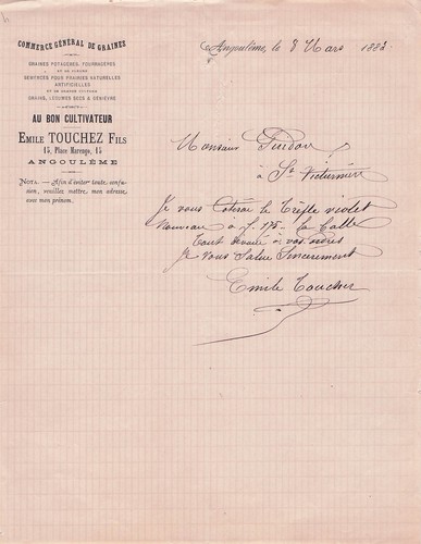 Angouleme grainetier - 16,
