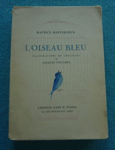 Oiseau bleu de maurice - bleu",