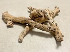 lot racines araignée cactus cholla mangrove spider root souche bois  aquarium W4