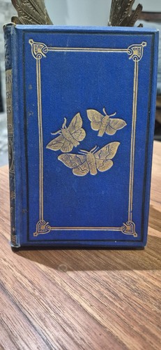 Common british moths - moths, (common