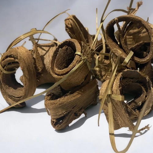 écorce noyer siwak - noyer,