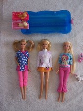 3 barbie + petite piscine pour chiens