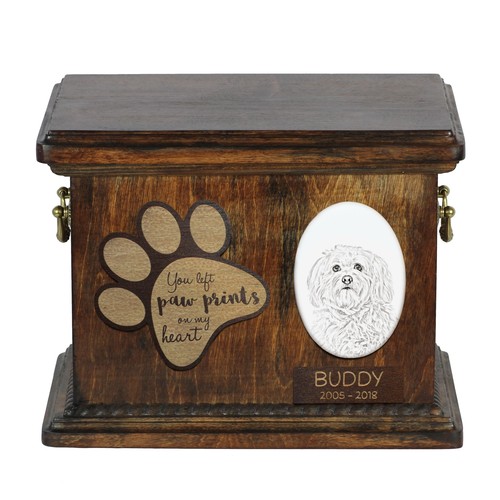 Bichon havanais urne avec - bichon,