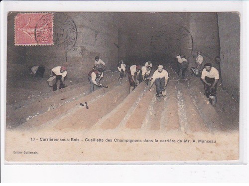 CARRIERES-SOUS-BOIS