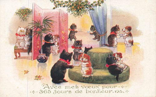 Chats noirs chiens avec - et,