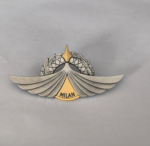 Insigne brevet tireur anti - insigne,