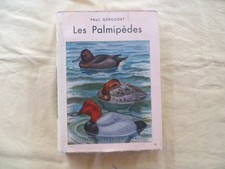 Les Palmipèdes - Paul
