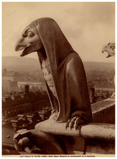Paris, Notre Dame, gargouille