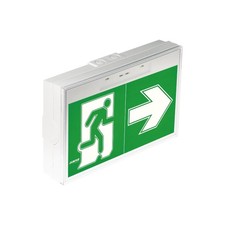 ZEMPER LTS-3050EX Bloc de secours évacuation Toledo SATI - 45lm - IP65 - IK10