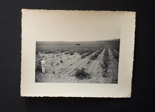 Photo ancienne guerre - ancienne,