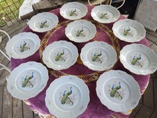 12 Assiettes Plates Porcelaine