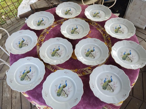 Assiettes plates porcelaine - 12,