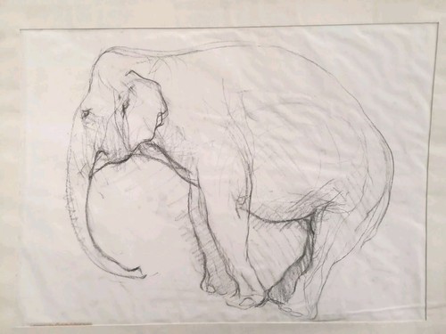 Dessin ancien éléphant au - dessin,
