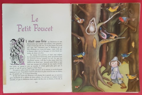 Conte petit poucet - conte, de