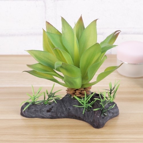 Terrarium decoration - terrarium,