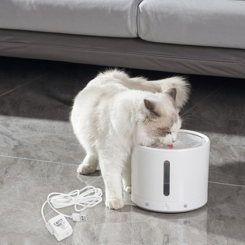 Pompe fontaine pour chat - À,